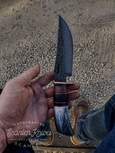 Load image into Gallery viewer, Fallow Deer Hunter
