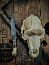 Load image into Gallery viewer, Drop point - Bone collector series