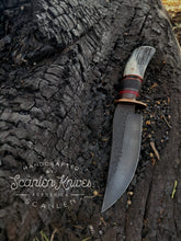 Load image into Gallery viewer, Fallow Deer Hunter

