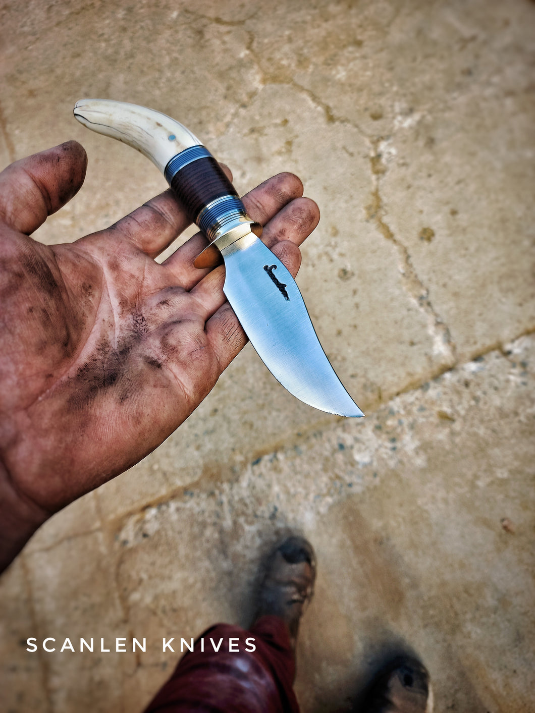 Warthog Caper