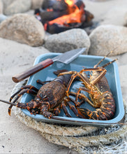 Load image into Gallery viewer, Deba
